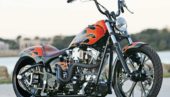 2005 Harley Davidson Softail Standard Built – Michigan Monster