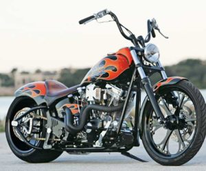 2005 Harley Davidson Softail Standard Built – Michigan Monster