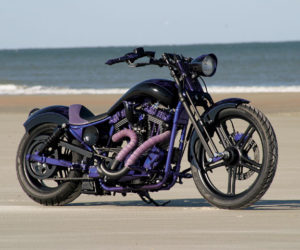 0808_hbkp_01_z2B2002_Harley-Davidson_Sportster2BExotic_Choppers
