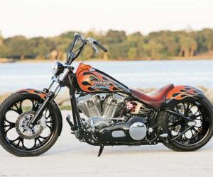 Michigan Monster | 2005 Harley Davidson Softail
