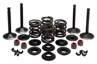 Twin Power Valve and Spring Kits 