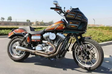 steve-edgar-custom-dyna