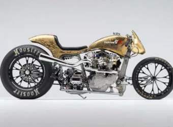 koi fish knucklehead