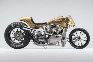 koi fish knucklehead