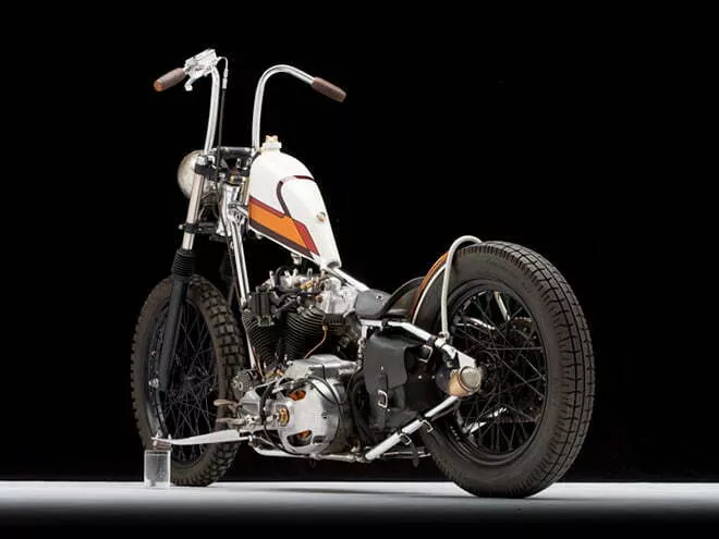 Trucky harley-davidson sportster