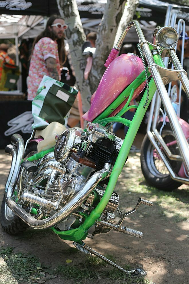 Knucklehead with a pink tank and green frame