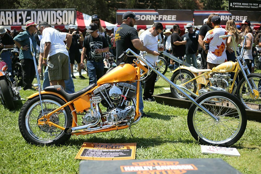 Orange shovelhead chopper at born free show