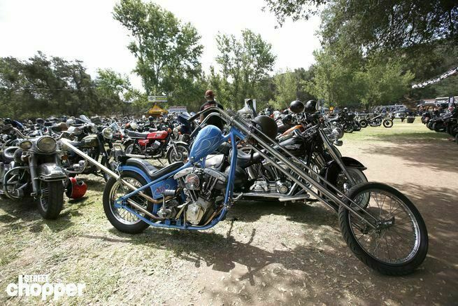 Born free attendees blue chopper