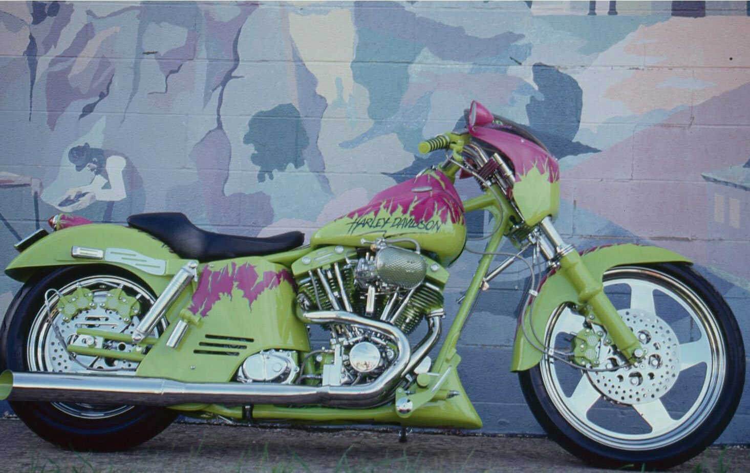 This green and magenta custom couldn’t be missed at the 53rd annual Sturgis motorcycle rally.