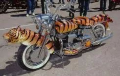 20-tiger-custom