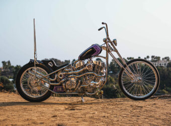 CT Newman Born Free Custom