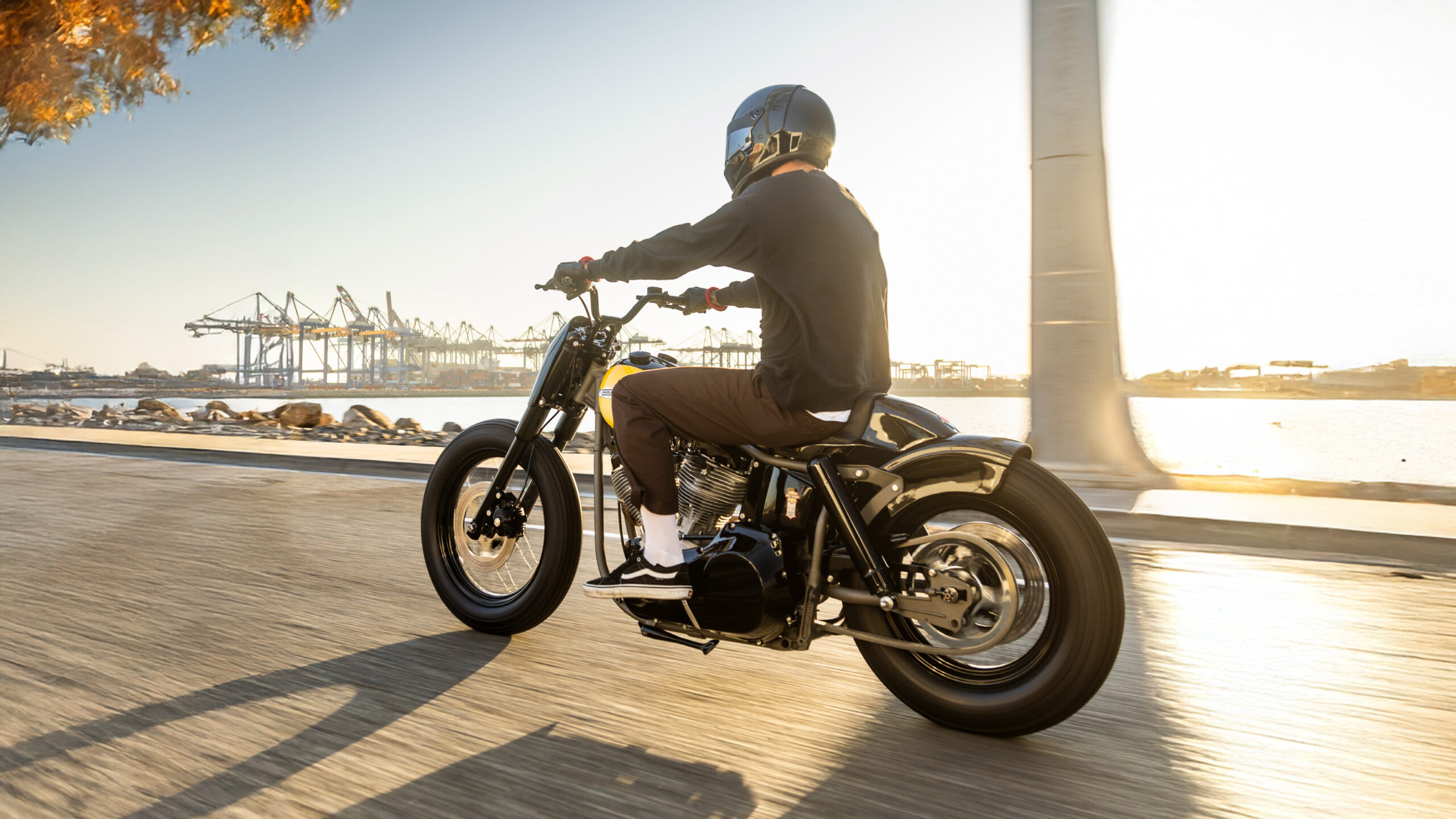 Heath Pinter’s 1965 Harley-Davidson Panhead Bobber 