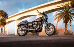 FOREVER RAD RIPPER DYNA 01