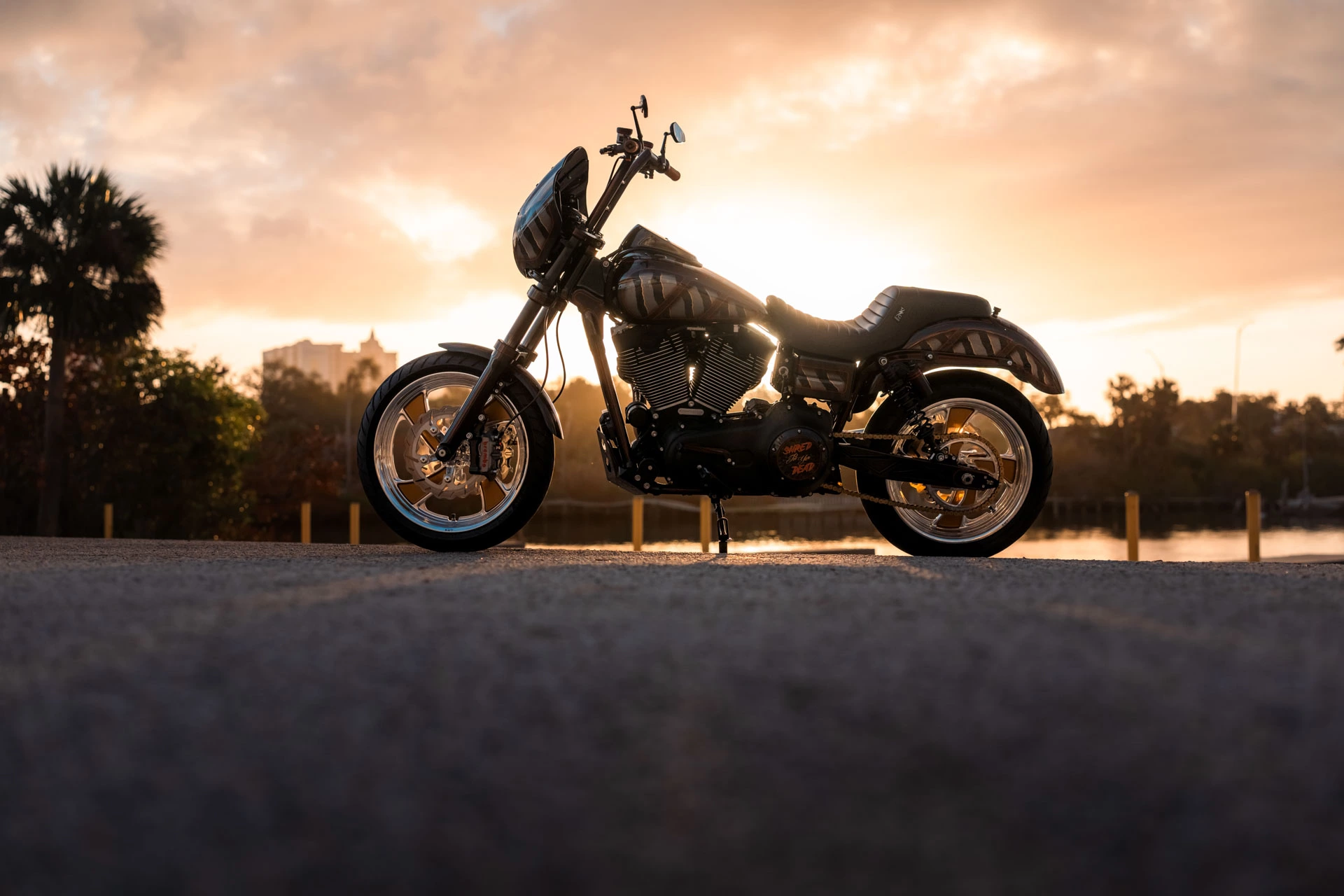 FOREVER RAD RIPPER DYNA 02