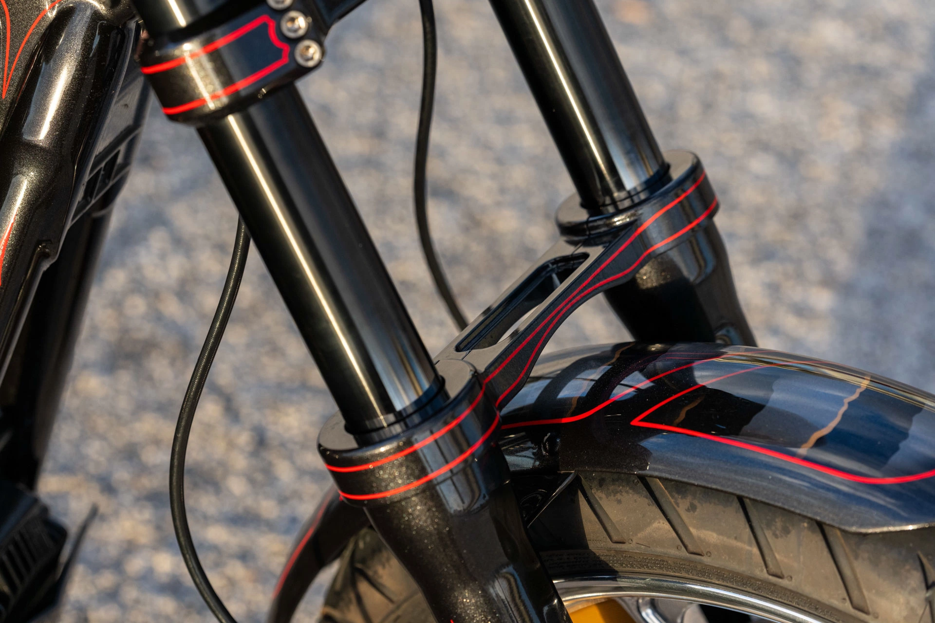 FOREVER RAD RIPPER DYNA 11