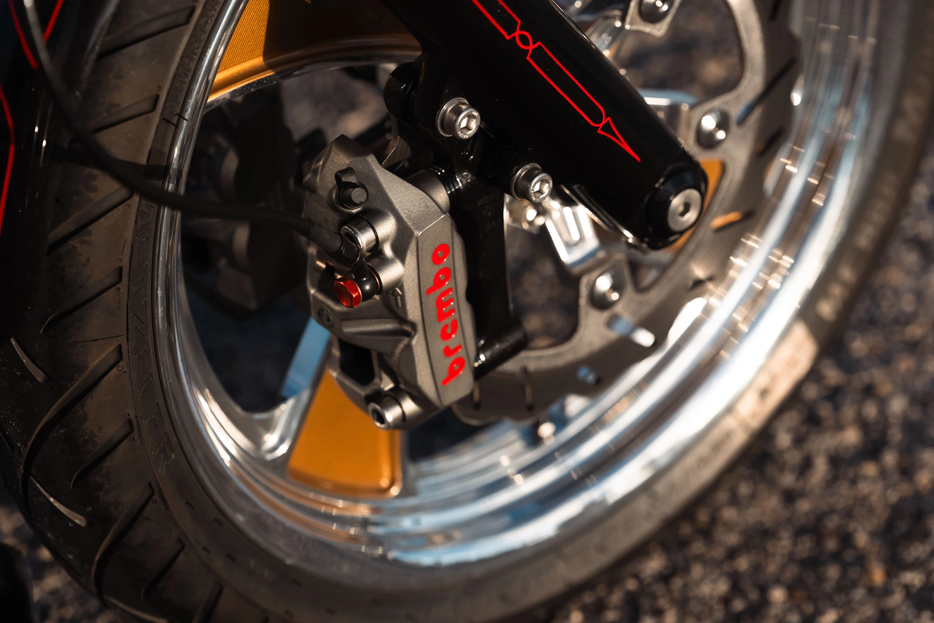 FOREVER RAD RIPPER DYNA 13
