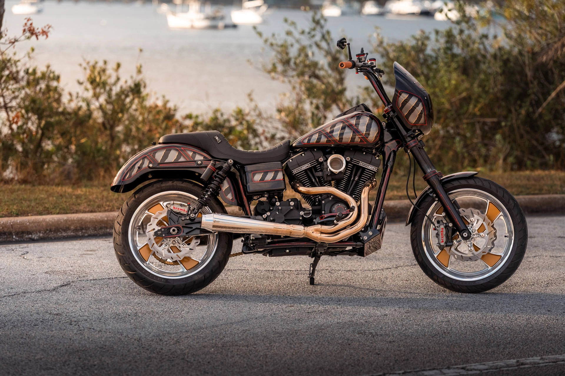 FOREVER RAD RIPPER DYNA 18