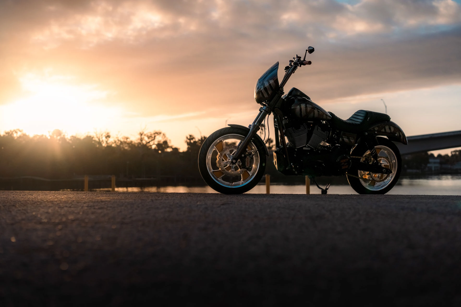 FOREVER RAD RIPPER DYNA 19
