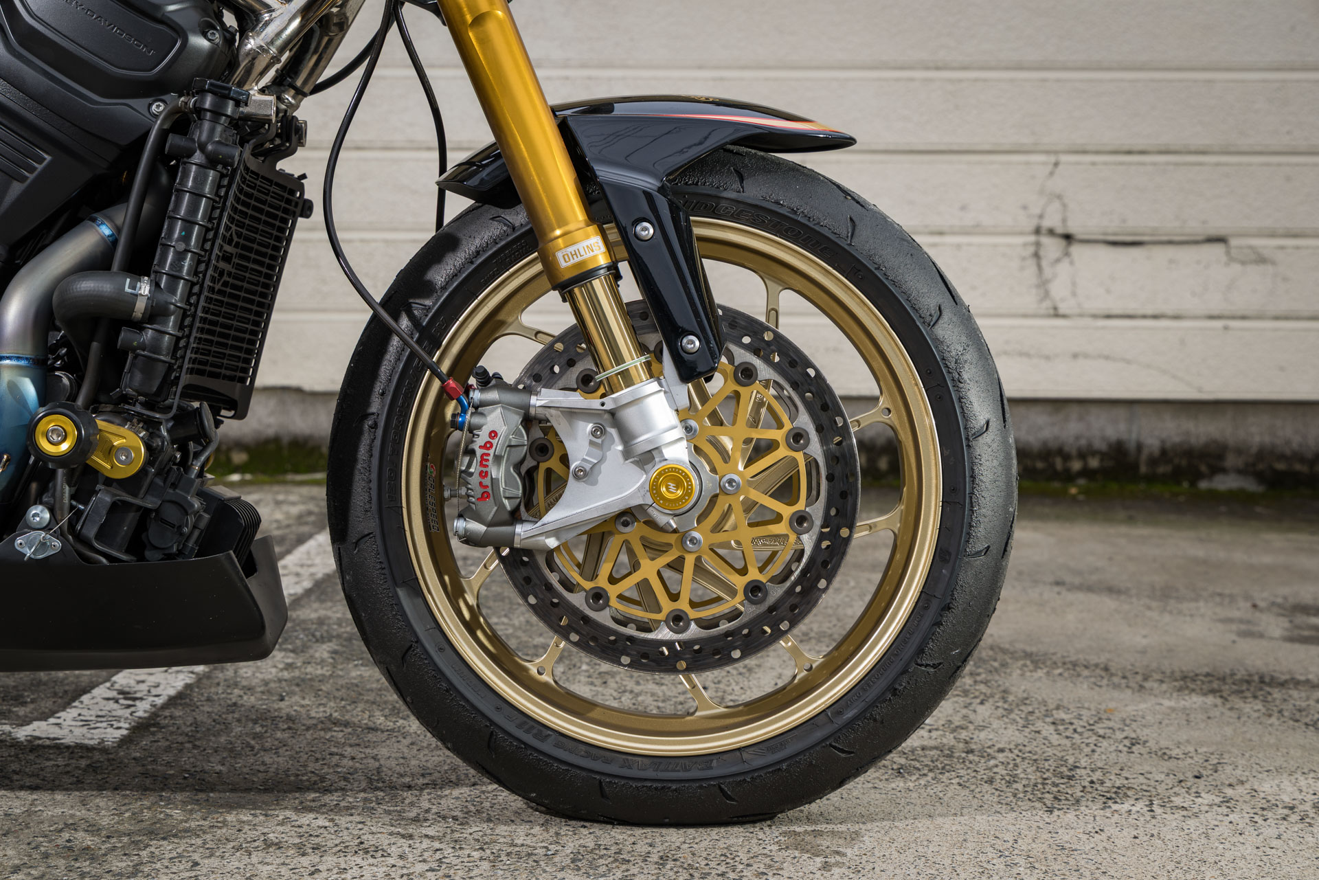 HOT DOCK CUSTOMS HARLEY PAN AMERICA 2 05