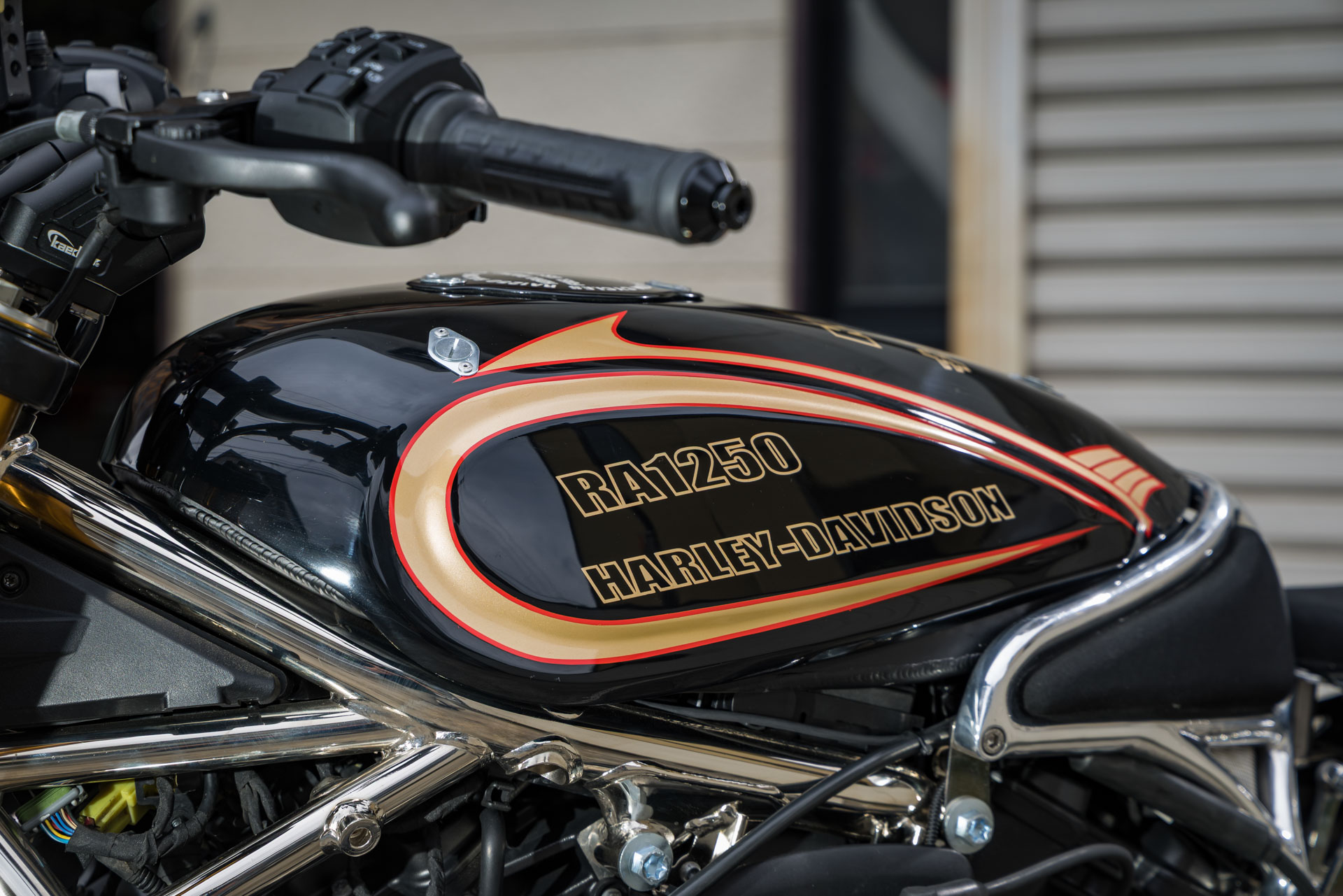 HOT DOCK CUSTOMS HARLEY PAN AMERICA 2 10